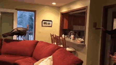 Couple Returns Home From Vacation, And Finds Unexpected Guest Inside
