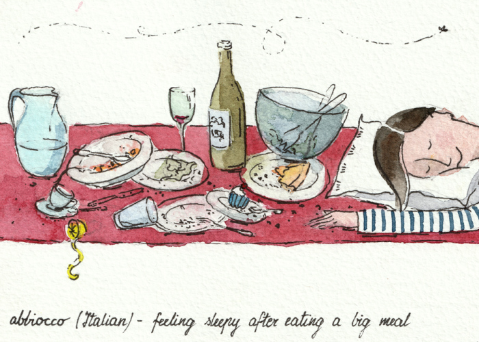 Postcards From Mars: Untranslatable Words Illustrated