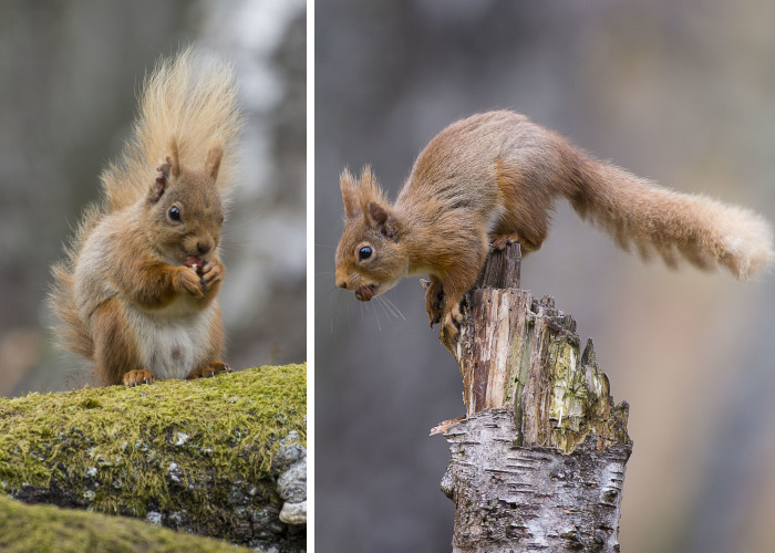 I Spent Time With These Wonderful Creatures