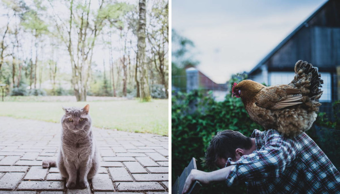 Meet All The Pets I Met While Living With Other People During A Year