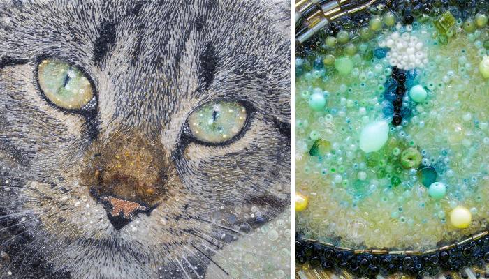 These Animal Portraits Are Not What They Look Like