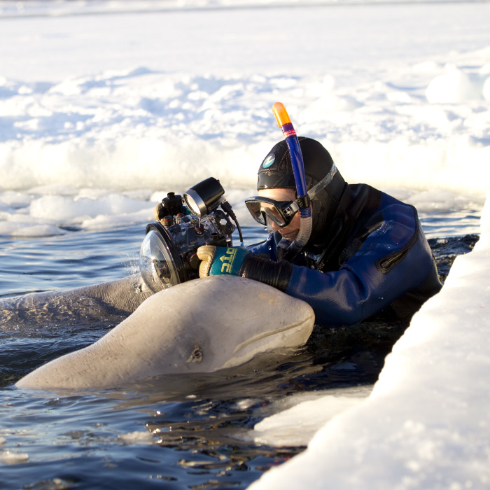 Behind The Scenes Of A Wildlife Photographer