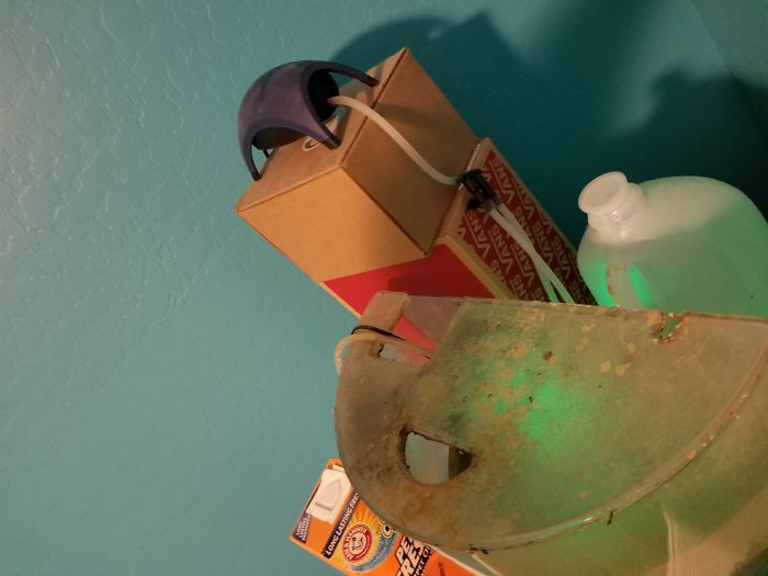 Owner Hasn't Cleaned This Goldfish's Aquarium For 1,5 Years, So This Hero Decided To Do Something About It Owner Hasn't Cleaned This Goldfish's Aquarium For 1,5 Years, So This Hero Decided To Do Something About It