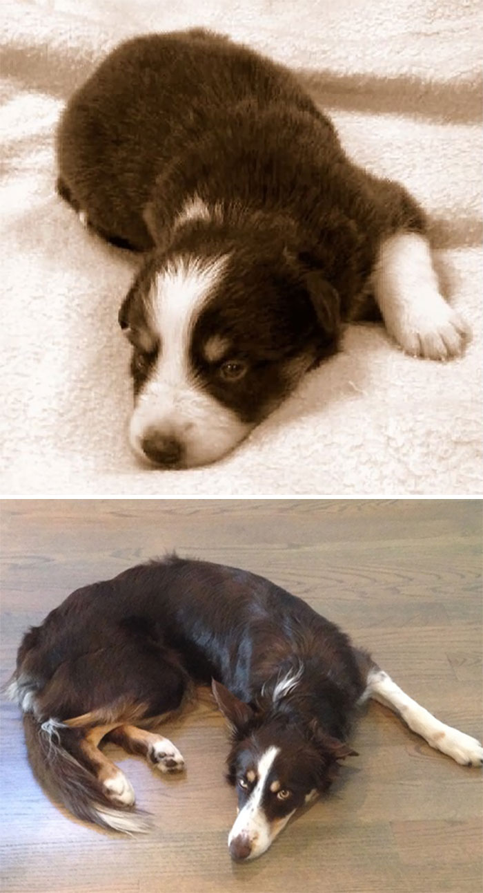 Ruby At Three Weeks And 1 Year And Three Weeks