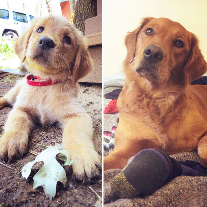 2 Years Later, Just A Bit More Tan