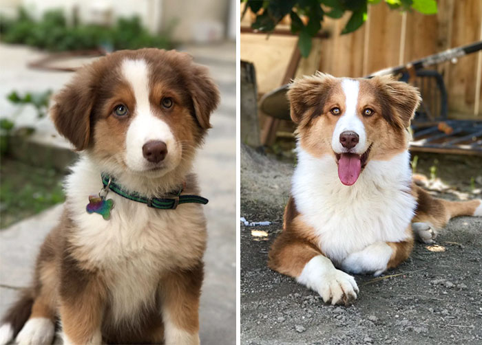 Pablo Grew Up So Fast