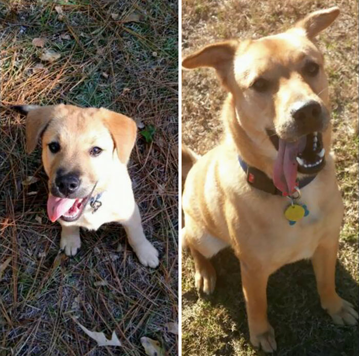 13 Weeks Vs 1 Year 7 Months