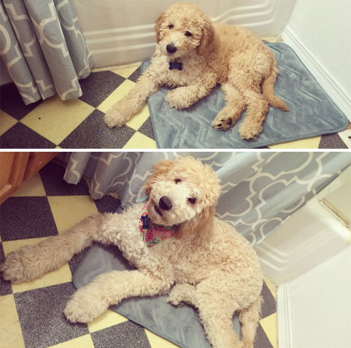 Baby Snoop Dog 3 Months And 6 Months