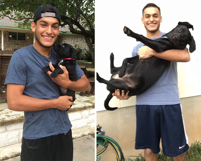 My Lil Puppy Getting All Grown Now!