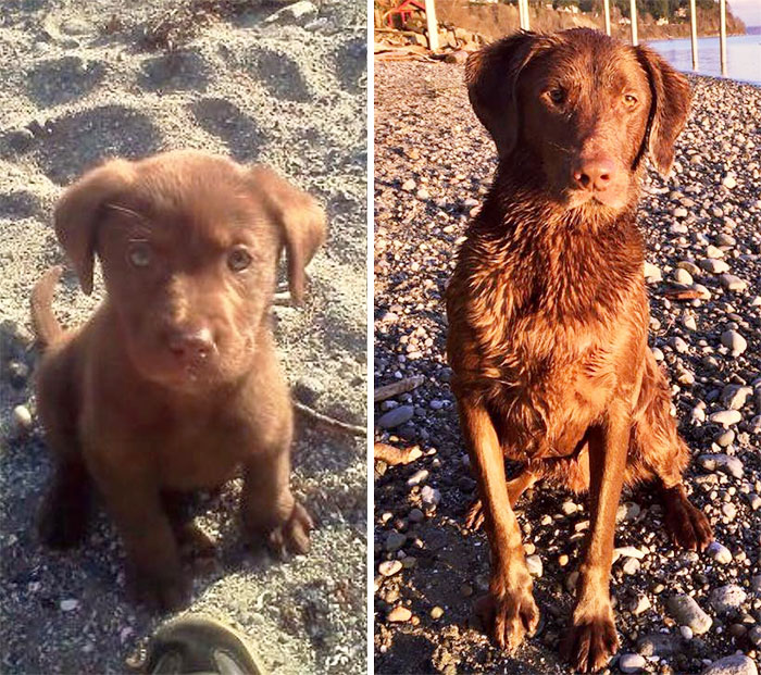 Same Beach 4 Years Later