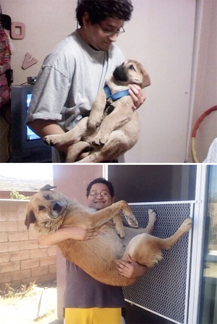 We Tried To Recreate Our Picture. I Think We Failed