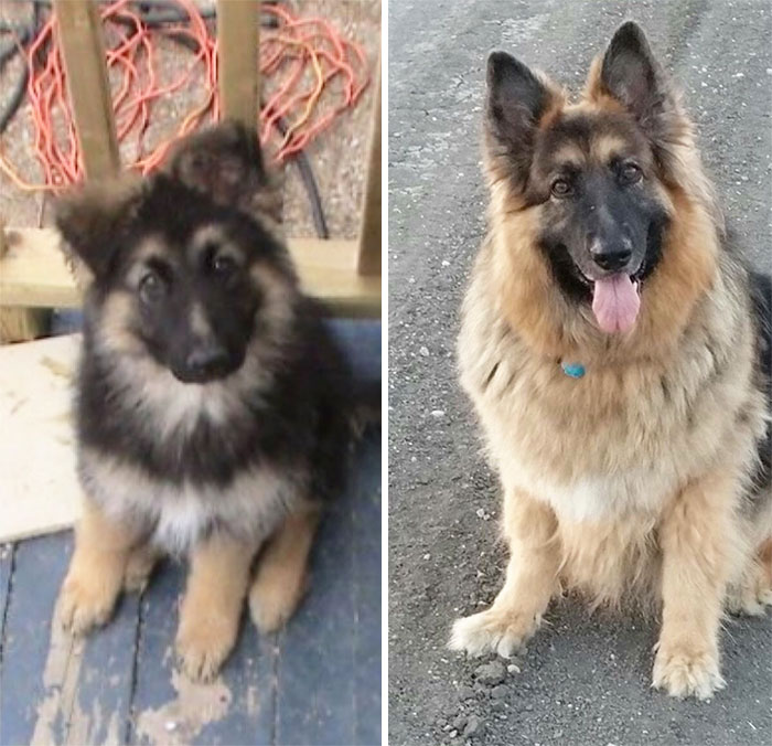 5 Years Later. Still Fuzzy