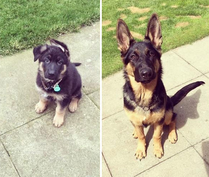 My Boy Is 6 Months Old. Happy Half Birthday, Zac