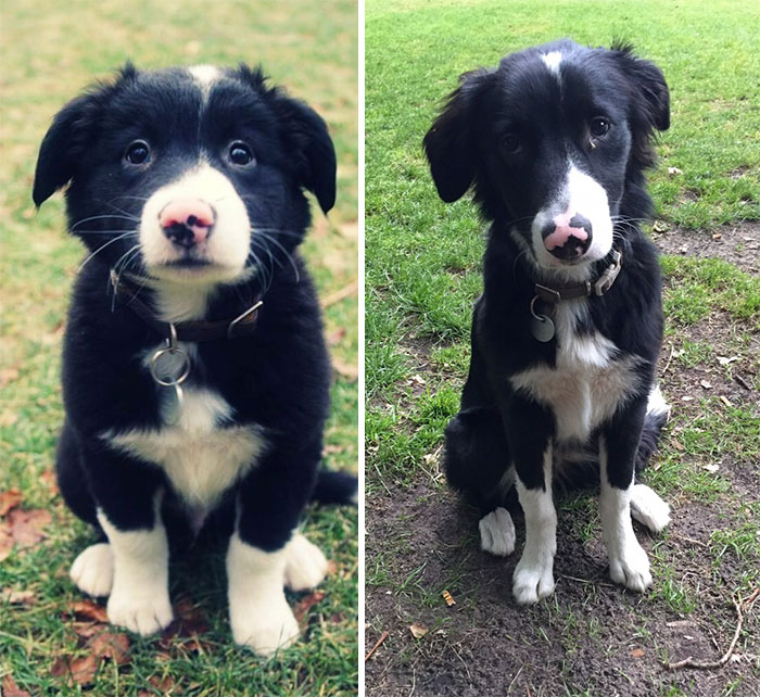 1 Month Vs 6 Months
