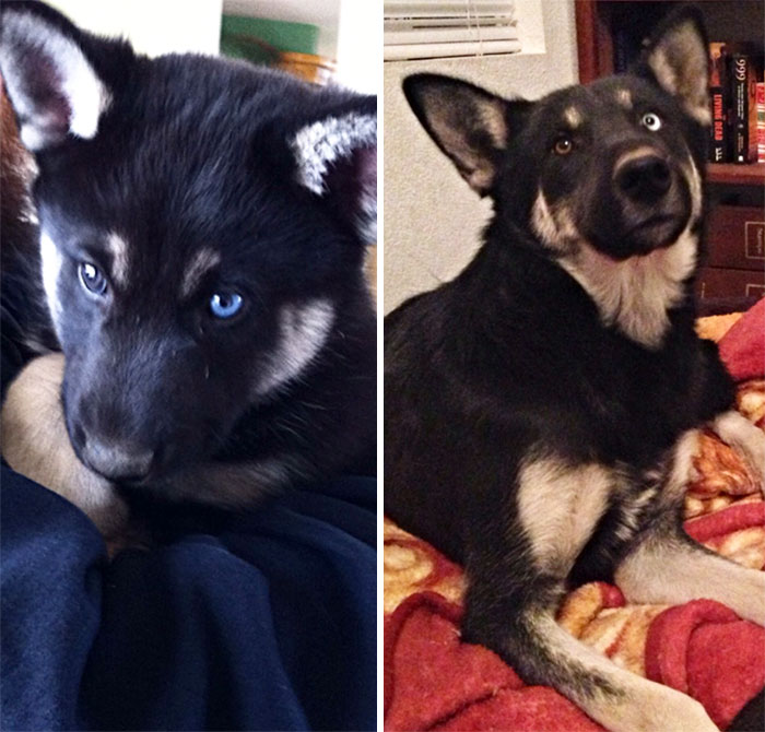 This Beautiful Destructive Digging Machine Is The Best Beast I've Ever Known