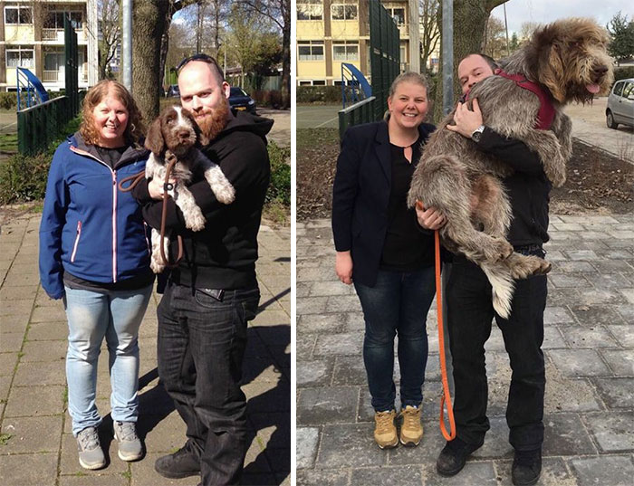 Fred At 8 Weeks And Fred At 10 Months