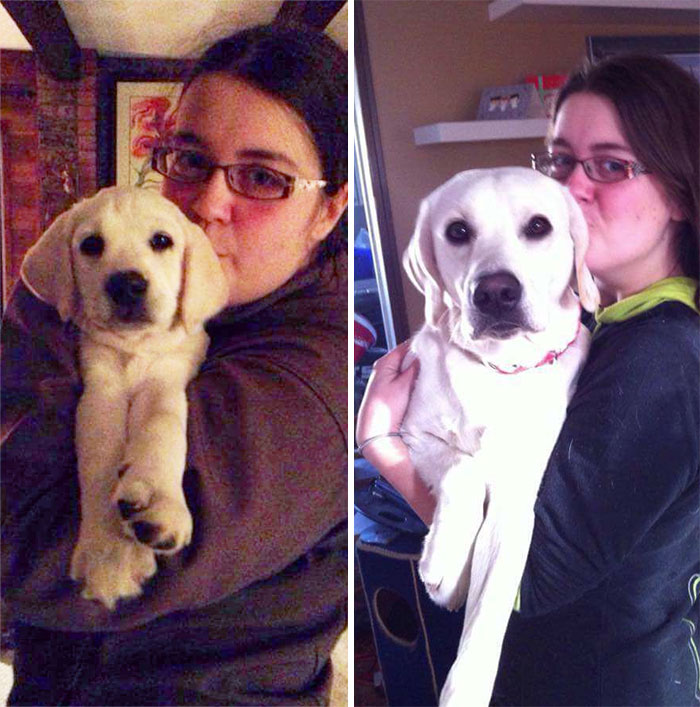 9 Weeks And At A Year