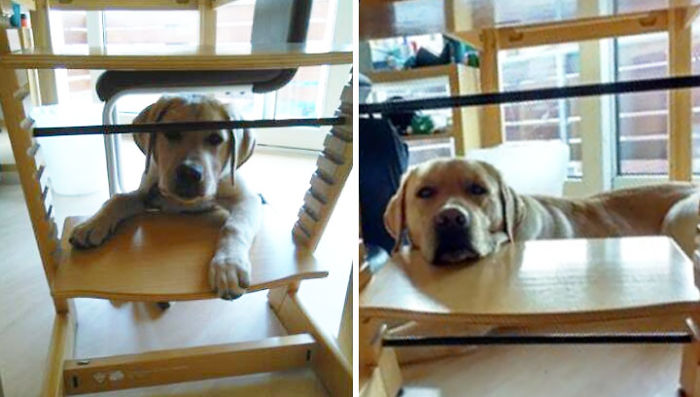 One And A Half Years Apart