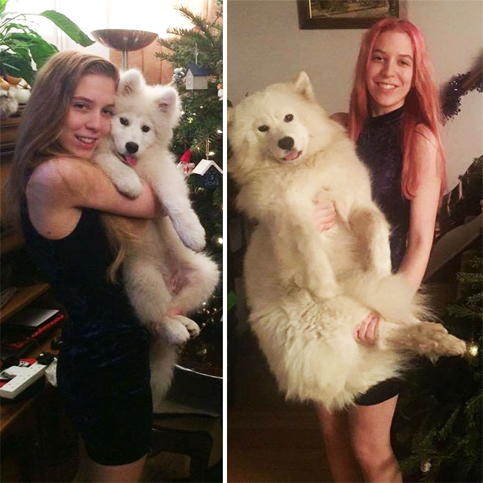 My Friend And Her Puppy A Year Apart