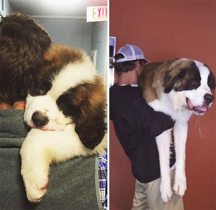 1 Year And 141 Pounds Later