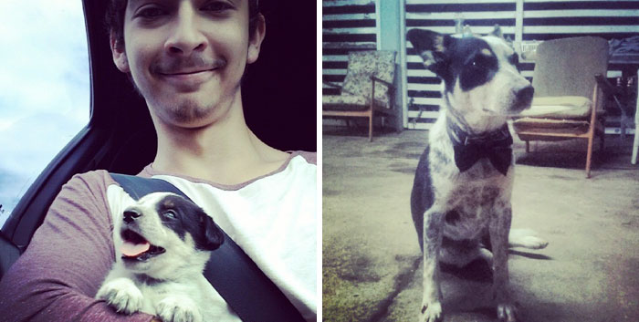 A Year And A Half Old Now, I Present, Desmond