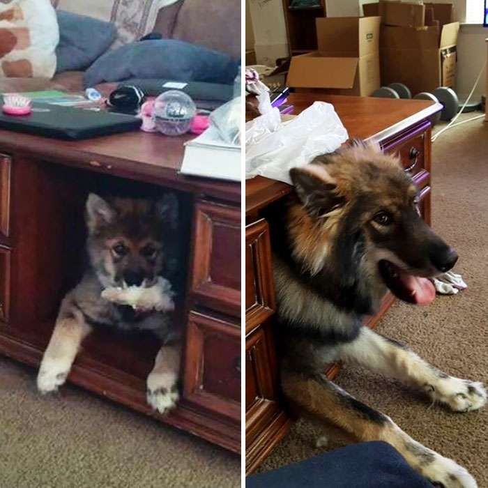 I Was Told A Before And After Would Be Nice Too. 3 Months Old Vs 7 Months Old