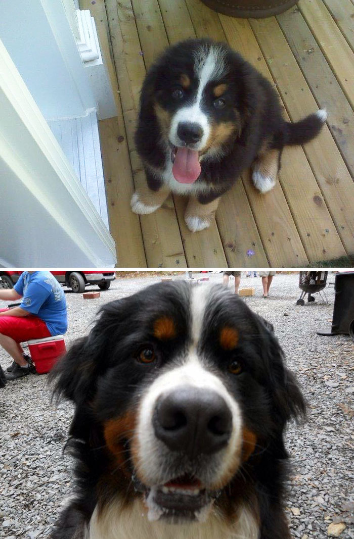 Meet Sam! (Before And After)