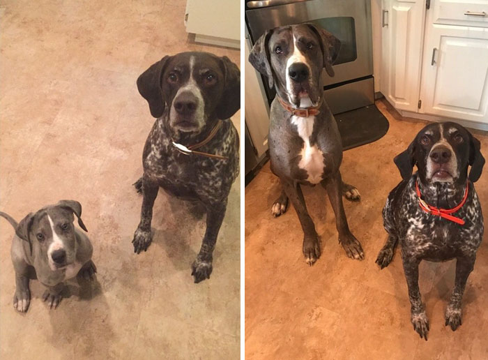 My Little Man. One Year Ago Vs Today