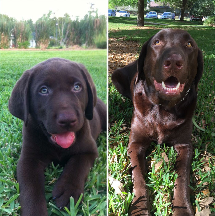 Happy 3rd Birthday, River! 7 Weeks Vs. 3 Years