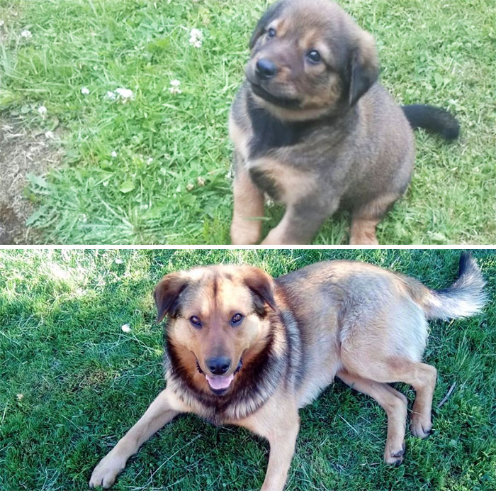 Batman At 3 Months Vs At 2 Years