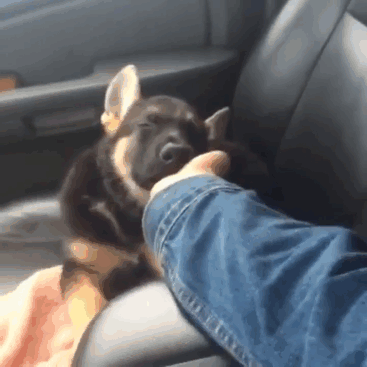 Some Things Never Change. I Still Love These Scratches