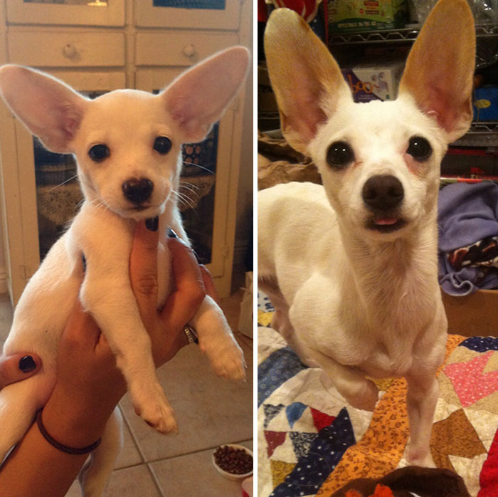 Everyone Told Me She'd Grow Into Them