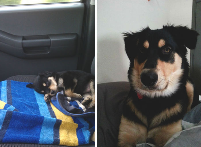 It's Only Been 7 Months, They Grow Up So Fast