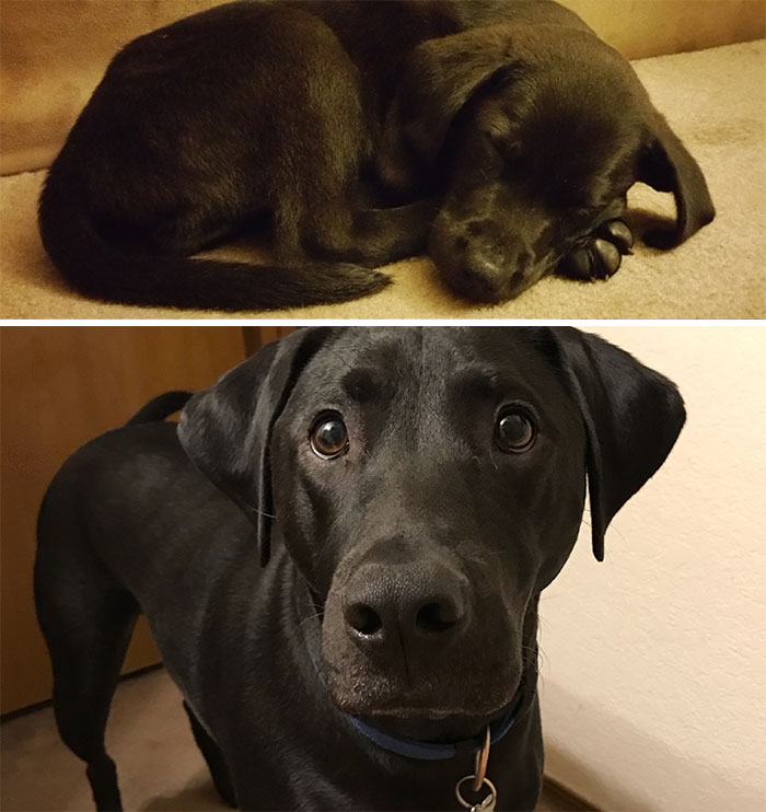 Still The Best Impulse Buy Ever (two Years Later)