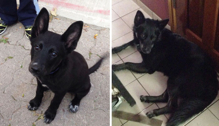 From 3 Months To 2 Years. Still As Cute!