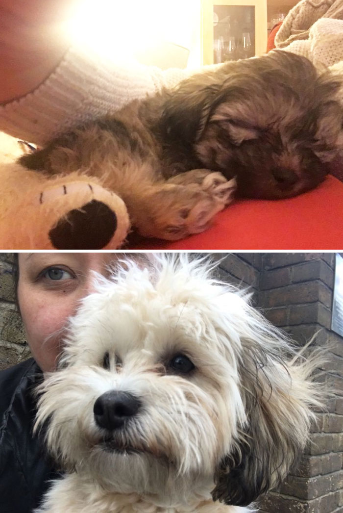 First Day He Arrived And 9 Months After