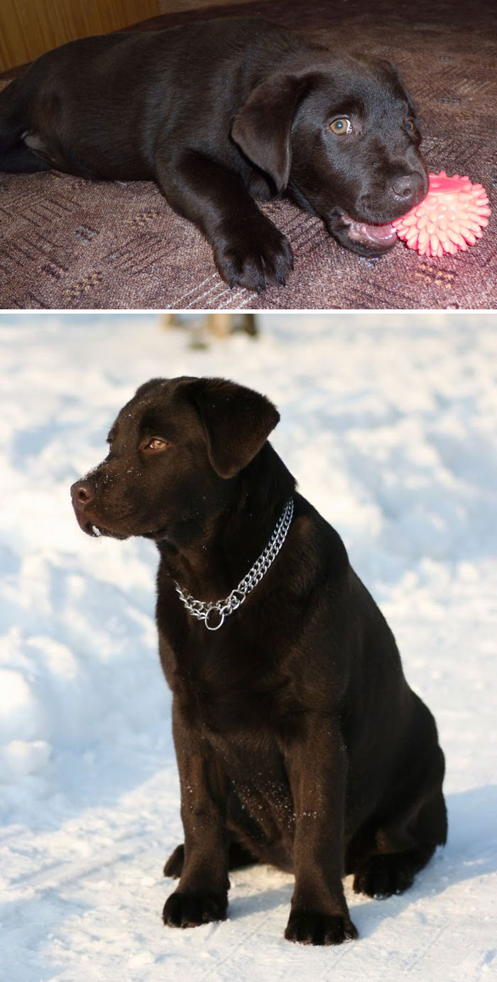 3 Months And 2 Years Old