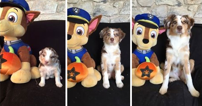 Autumn 3 Weeks To 7 Months