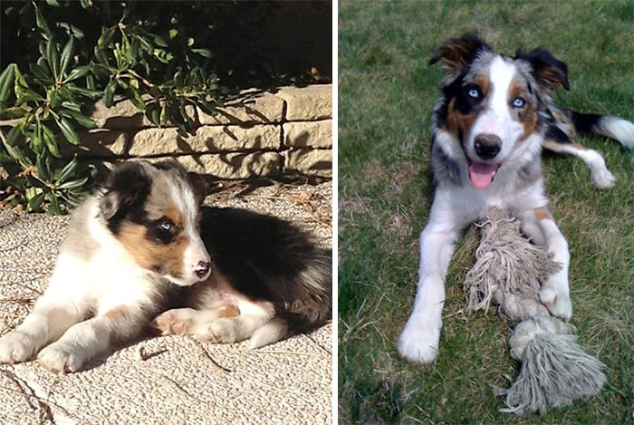 Helios: 2 Months Vs 6 Months