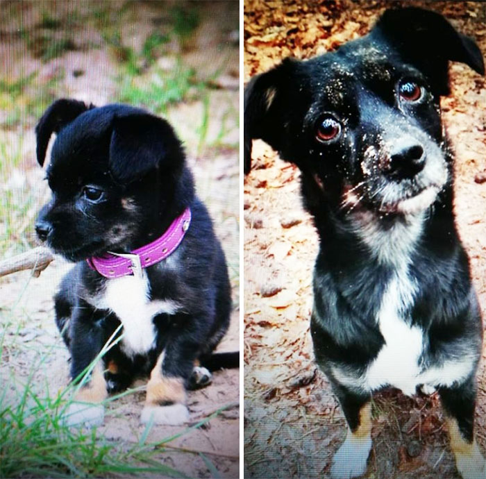 7 Weeks Vs 5 Years Old