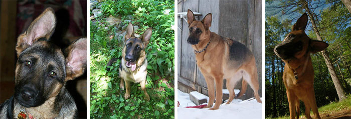 Ciana: 10 Weeks, 6 Months, 2 Years, And 7 Years