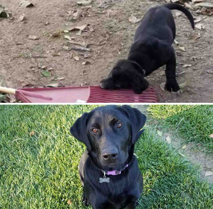 Luna At Two Months And Ten Months!