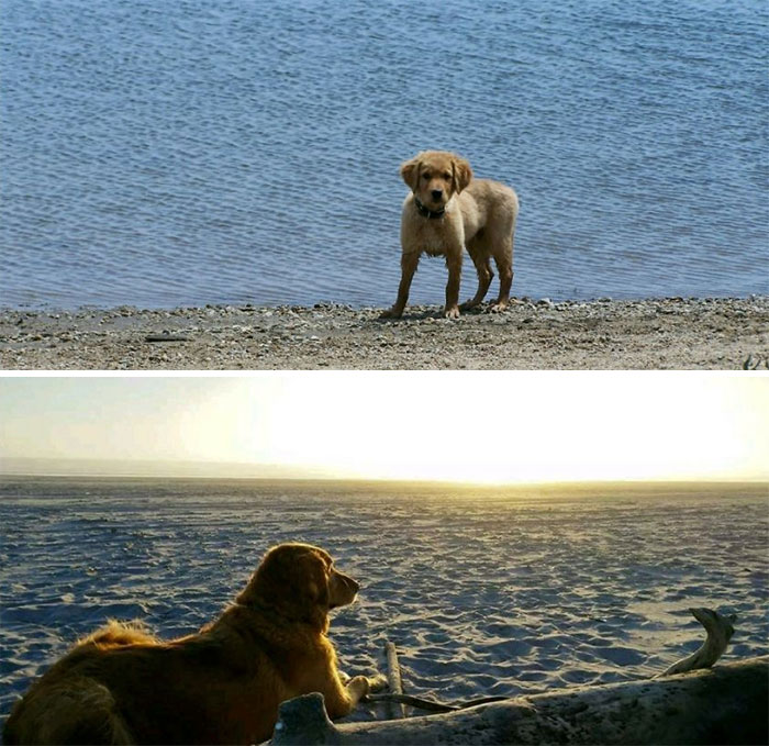 8 Years Of The Good Life