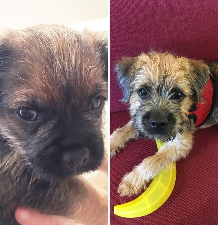 Dave's Only 4 Months Old. But Man Is He Growing Up Fast