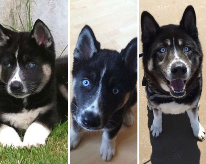 8 Weeks, 3 Months And 2 Years