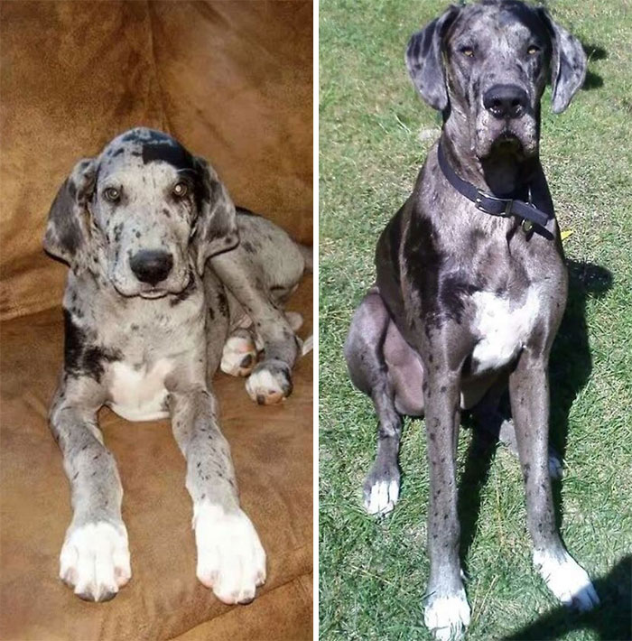 Charlie 3 Months / 3 Years