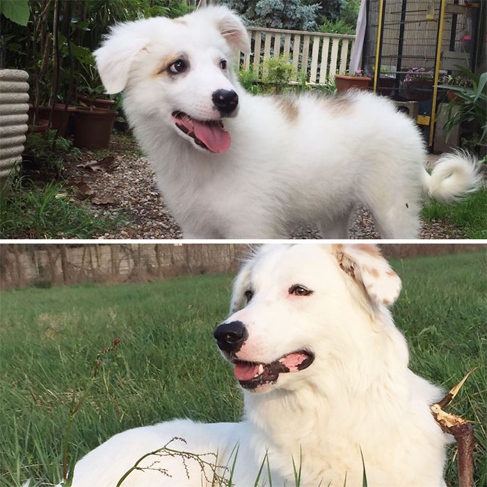 My Beautiful Alaska! 3 Months And 2 Years