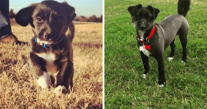 Max At 9 Weeks And 2 And A Half Years