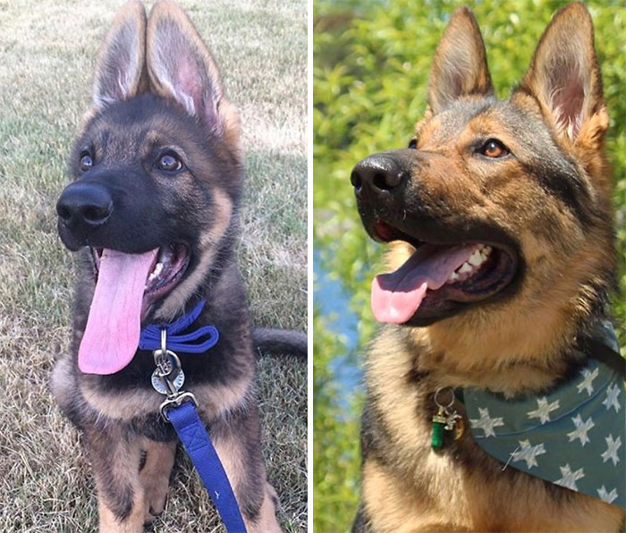 Soren 4 Months Vs 14 Months