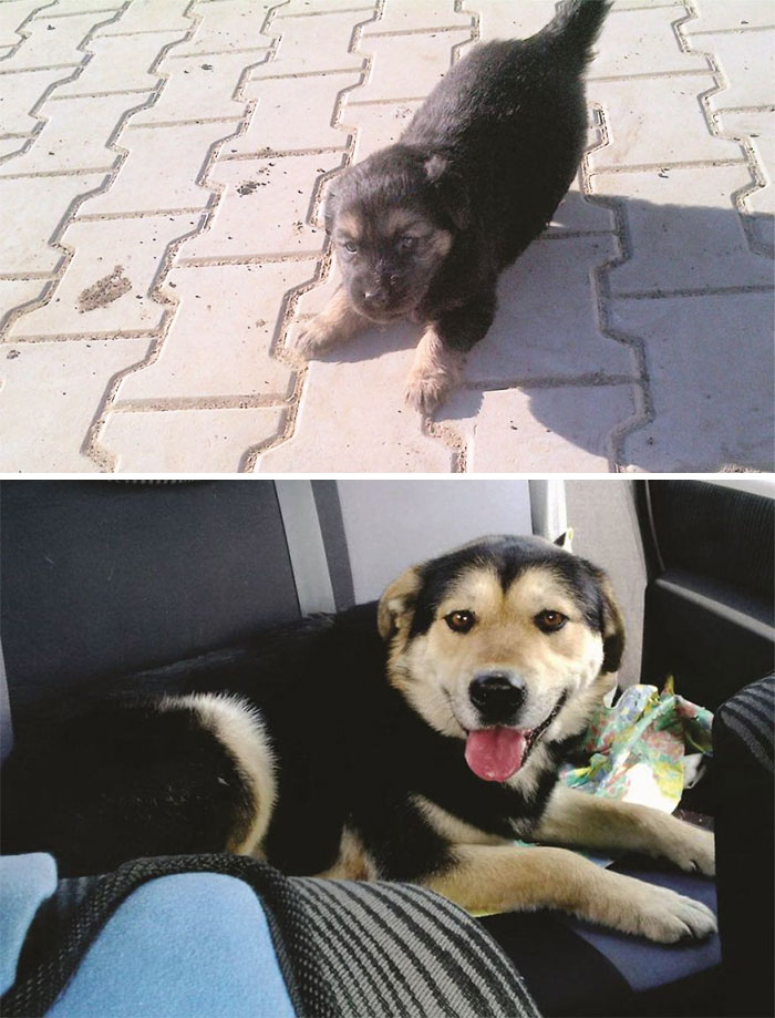 „The Badger” 5 Years Apart. Survivor Born Underground And Surfaced Just In Time To Be Loved